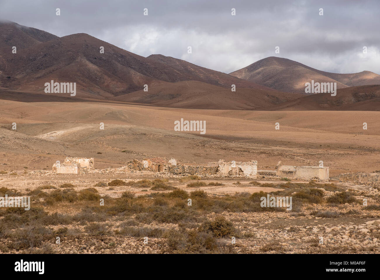 Il paesaggio del deserto, Fuerteventura, Isole Canarie, Spagna Foto Stock