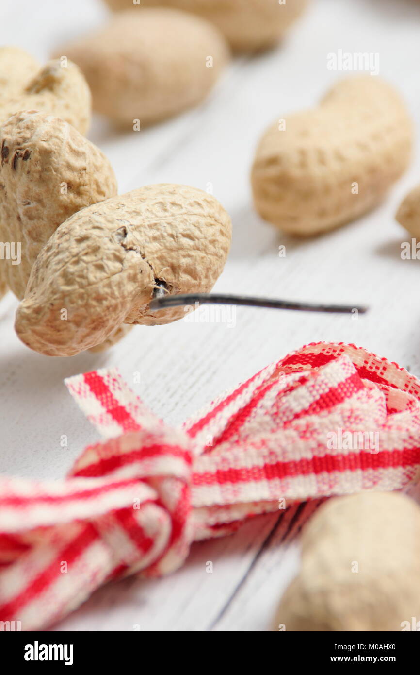 Creazione di una rapida, inverno a forma di cuore bird feeder da scimmia dadi (guida passo passo). Fase1/3:Thread monkey dadi sul filo artigianale modellata come cuore Foto Stock