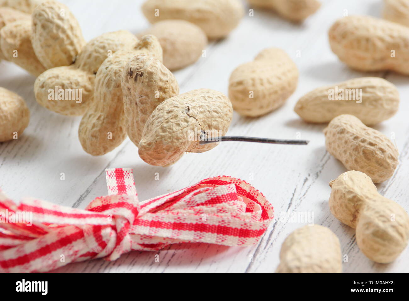 Creazione di una rapida, inverno a forma di cuore bird feeder da scimmia dadi (guida passo passo). Fase1/3:Thread monkey dadi sul filo artigianale modellata come cuore Foto Stock