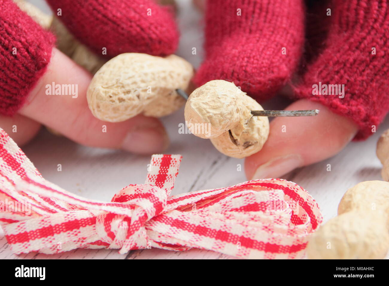 Creazione di una rapida, inverno a forma di cuore bird feeder da scimmia dadi (guida passo passo). Fase1/3:Thread monkey dadi sul filo artigianale modellata come cuore Foto Stock