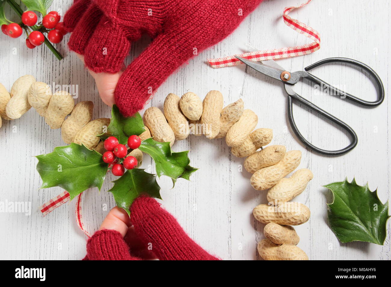 Creazione di un inverno in casa a forma di cuore bird feeder da scimmia dadi (guida passo passo). Passo 2 di 3: Collegare festosa fogliame invernale e il nastro o lo spago Foto Stock