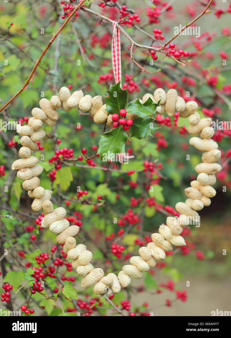 Creazione di una rapida, inverno a forma di cuore bird feeder da dadi di scimmia (sequenziale/guida passo passo). Fase uno: filettatura monkey dadi sul filo di artigianato Foto Stock