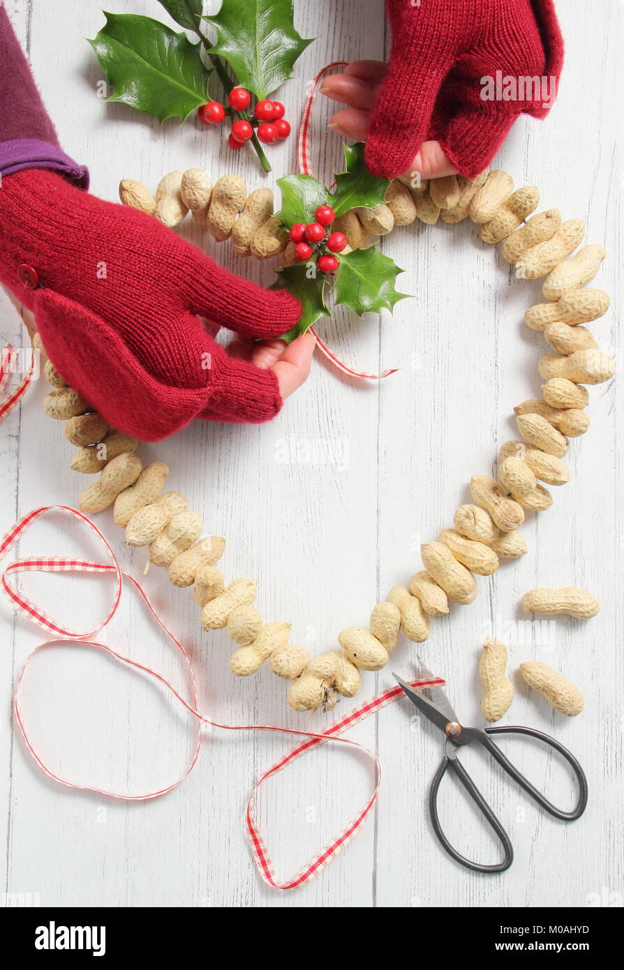 Creazione di una rapida, inverno a forma di cuore bird feeder da scimmia dadi (guida passo passo). Passo 2 di 3: Collegare festosa fogliame invernale e il nastro o lo spago Foto Stock