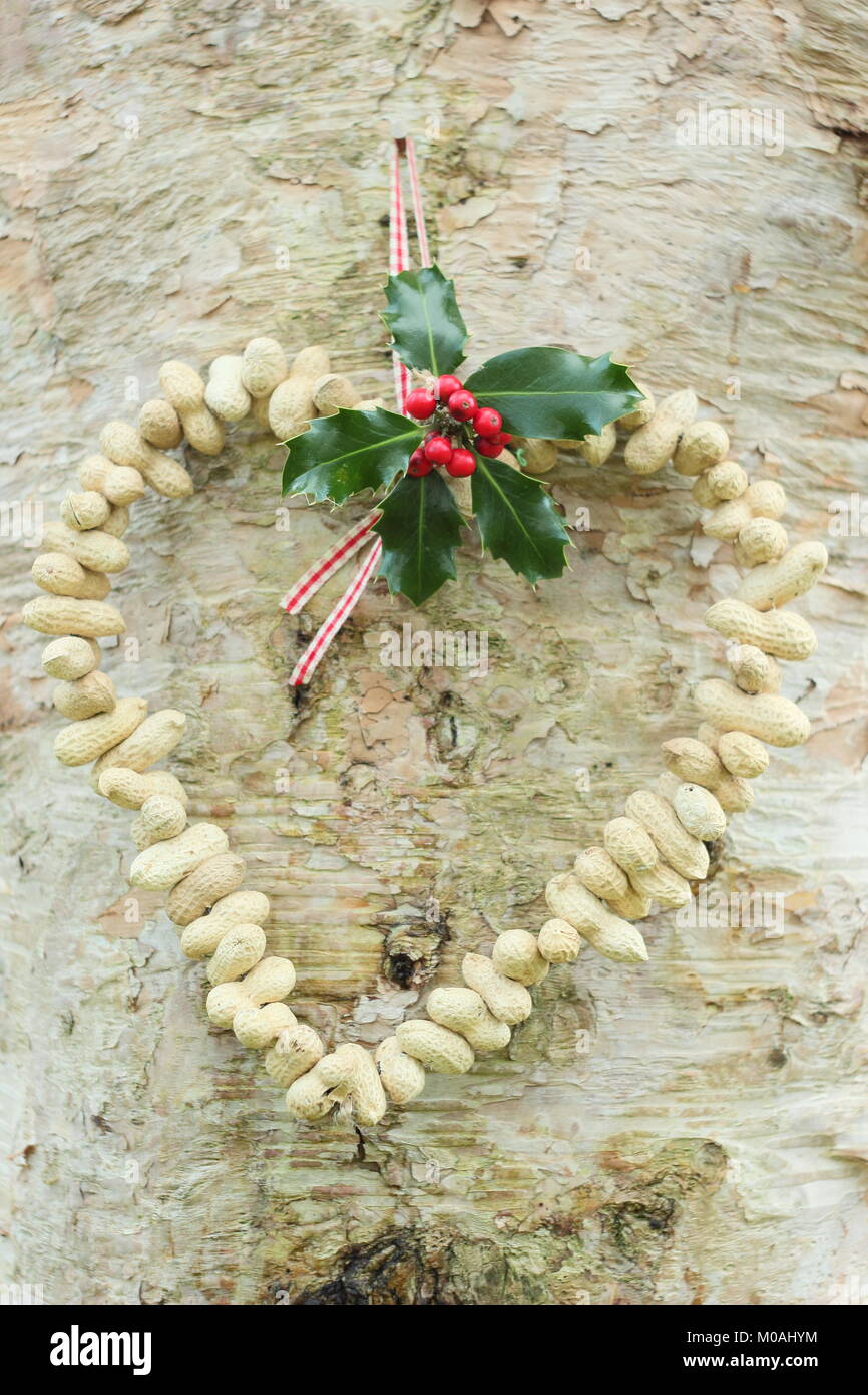 Creazione di una rapida, inverno a forma di cuore bird feeder da scimmia dadi (guida passo passo). Passo 3 di 3: alimentatore posto dove si può godere la visione di uccelli Foto Stock