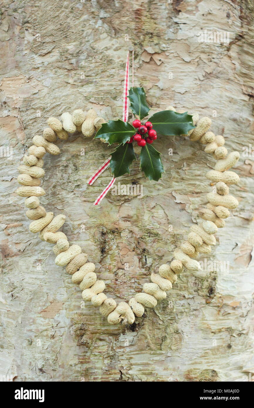 Creazione di una rapida, inverno a forma di cuore bird feeder da scimmia dadi (guida passo passo). Passo 3 di 3: alimentatore posto dove si può godere la visione di uccelli Foto Stock