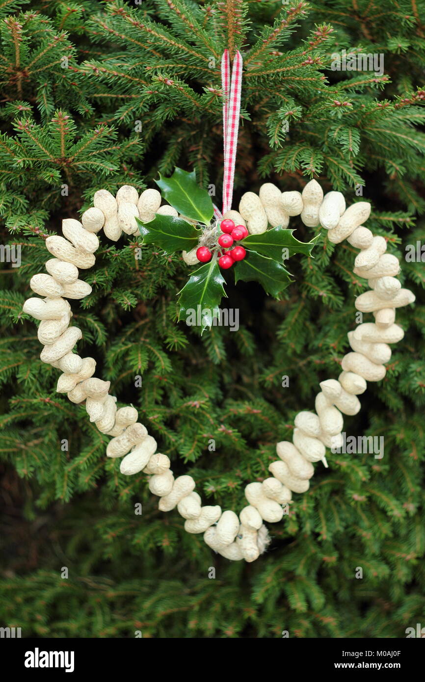 Creazione di una rapida, inverno a forma di cuore bird feeder da scimmia dadi (guida passo passo). Passo 3 di 3: alimentatore posto dove si può godere la visione di uccelli Foto Stock