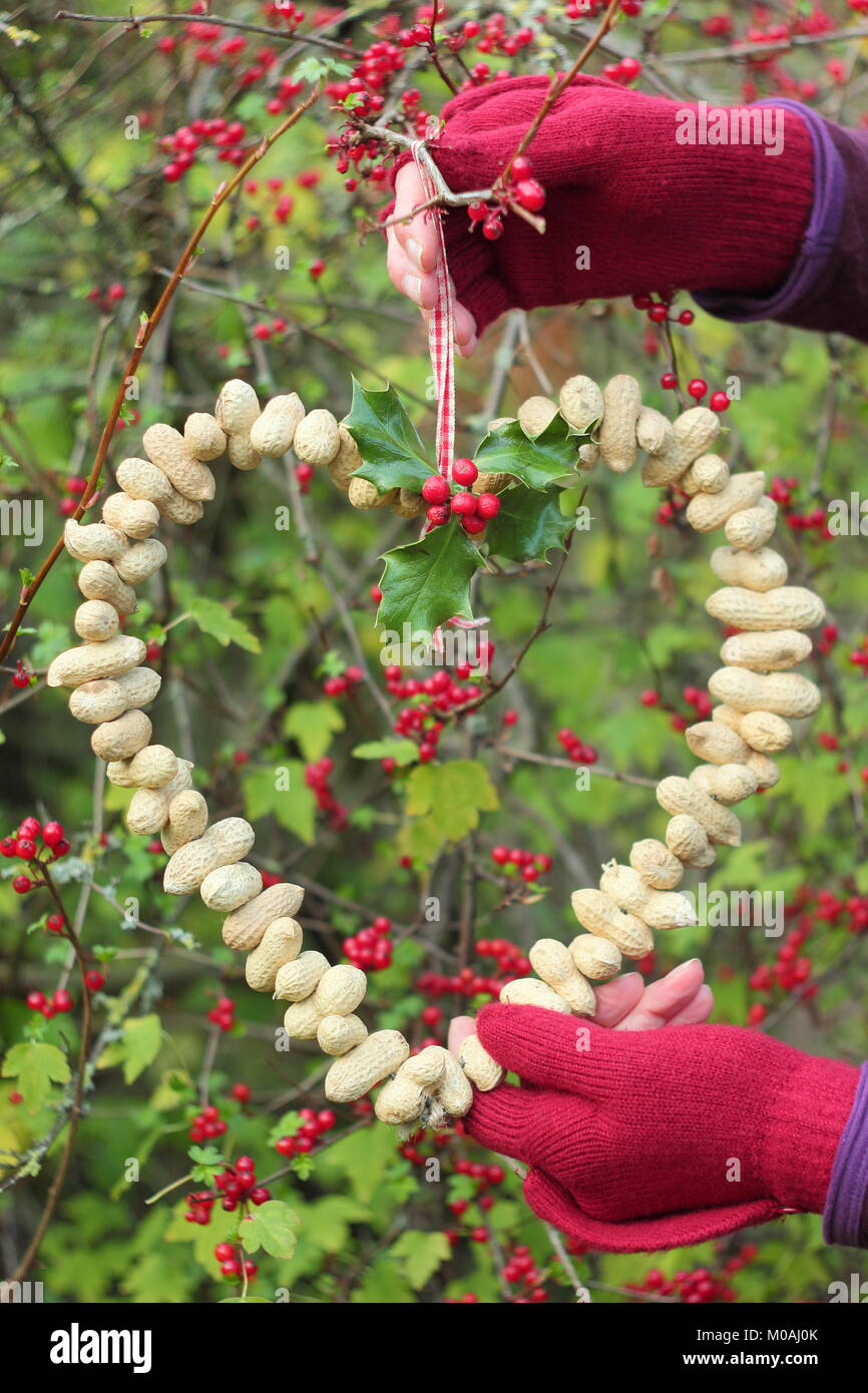 Creazione di una rapida, inverno a forma di cuore bird feeder da scimmia dadi (guida passo passo). Passo 3 di 3: alimentatore posto dove si può godere la visione di uccelli Foto Stock