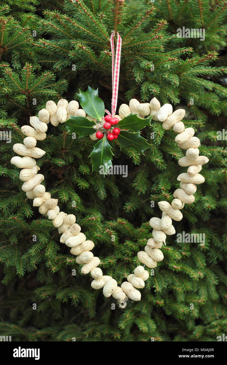 Creazione di una rapida, inverno a forma di cuore bird feeder da scimmia dadi (guida passo passo). Passo 3 di 3: alimentatore posto dove si può godere la visione di uccelli Foto Stock