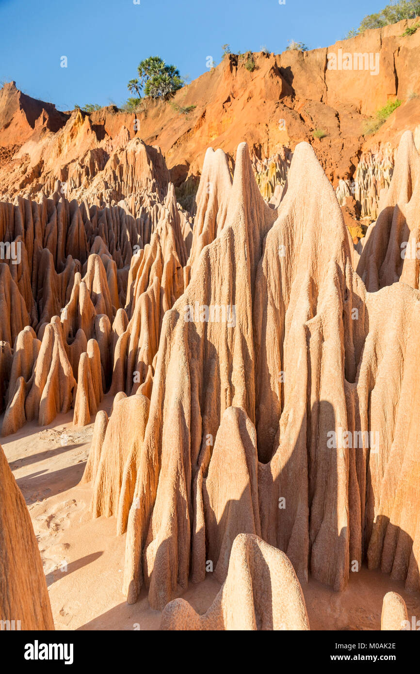 Abstract formazione geologica in rosso Tsingy Madagascar Foto Stock