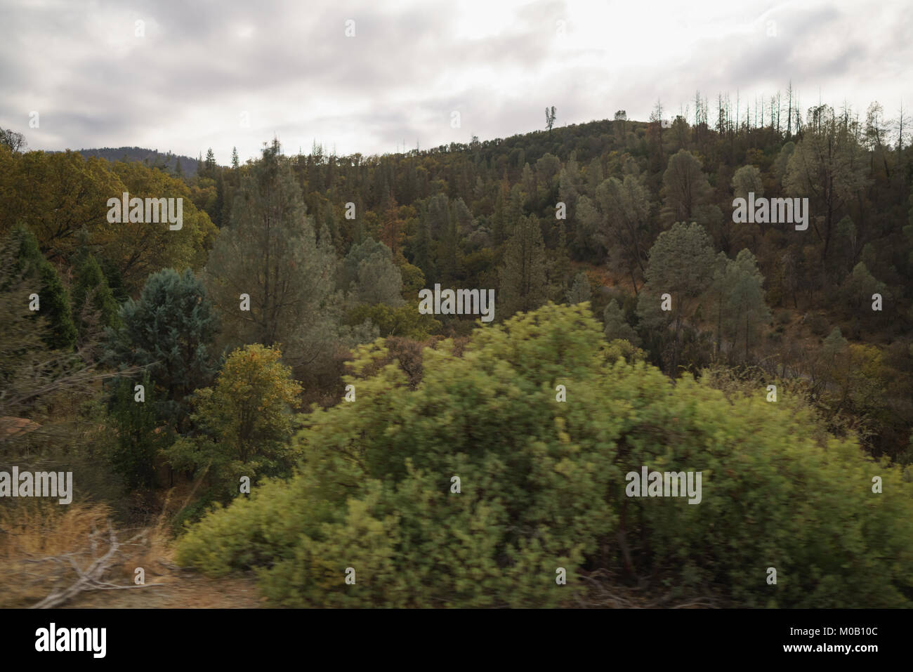 Foresta Montagne in California nuvoloso giorno di autunno Foto Stock