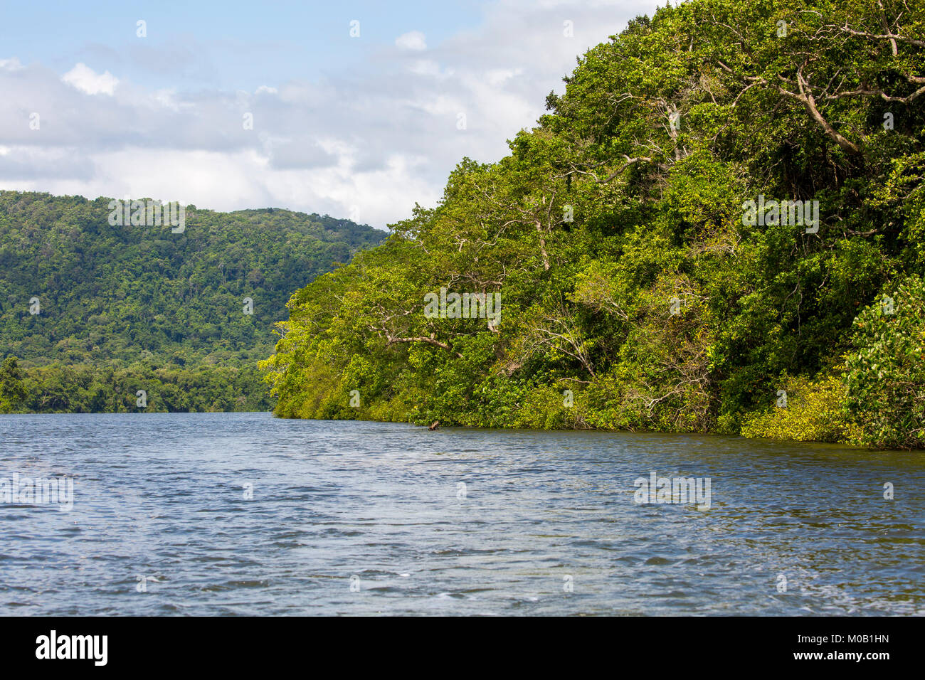 Fiume Daintree e Parco Nazionale Daintree in tropicale Nord Queensland, Australia Foto Stock