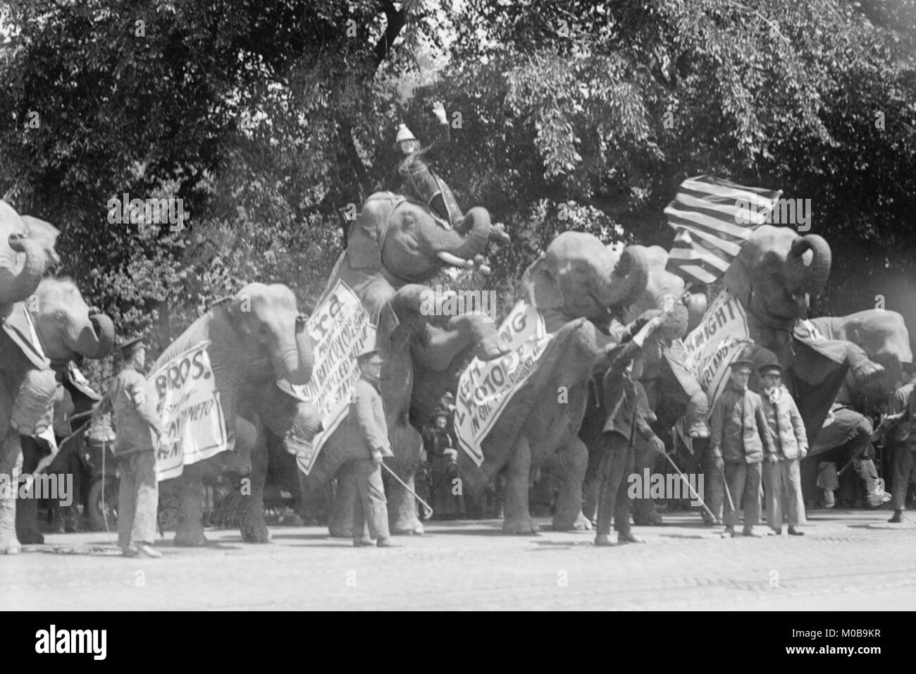 Circus elefanti visitare la Casa Bianca Foto Stock