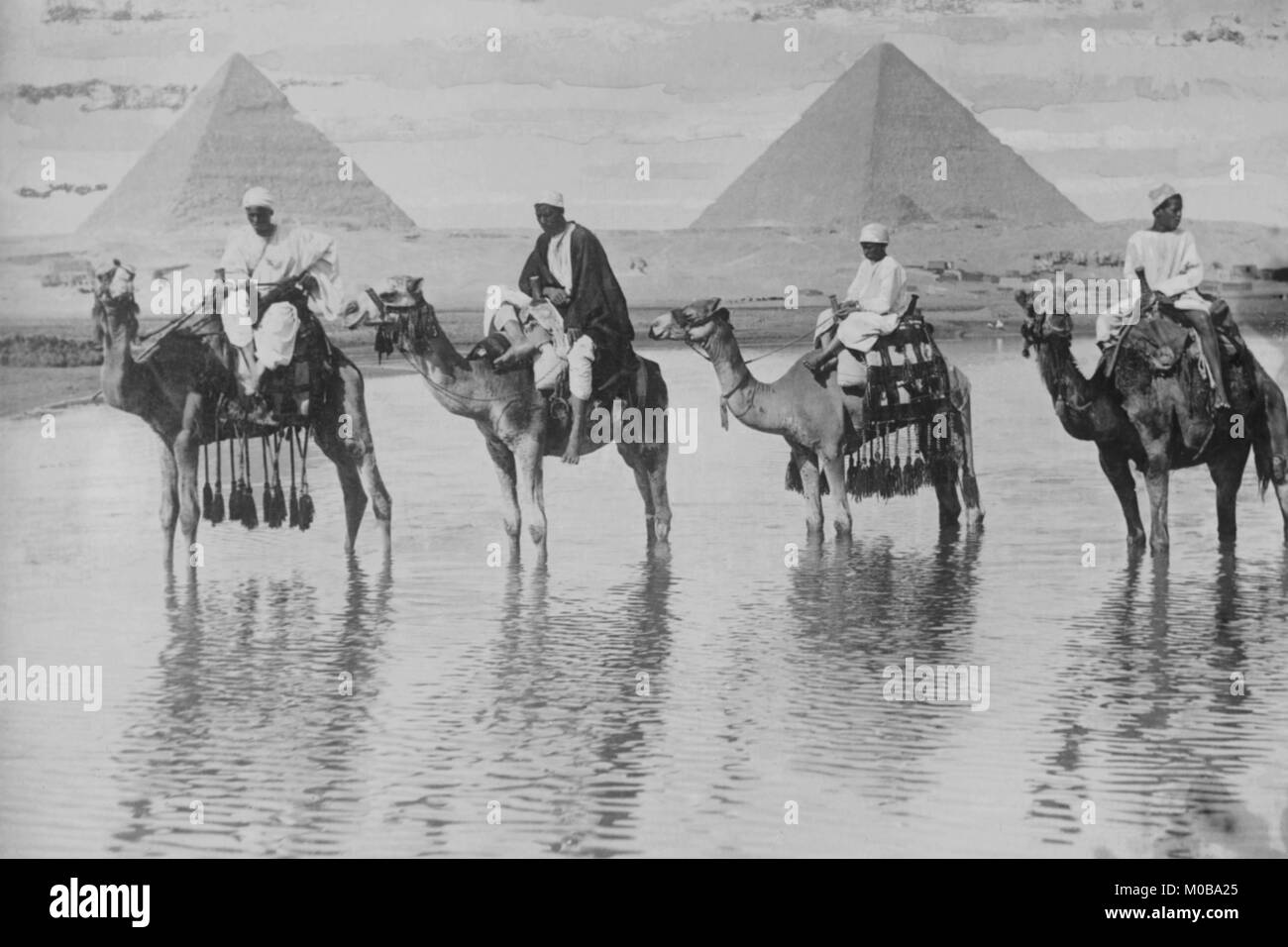 I cammelli con Native piloti a bordo di supporto riflettente in acque alluvionali con lo sfondo delle piramidi di Giza in Egitto Foto Stock