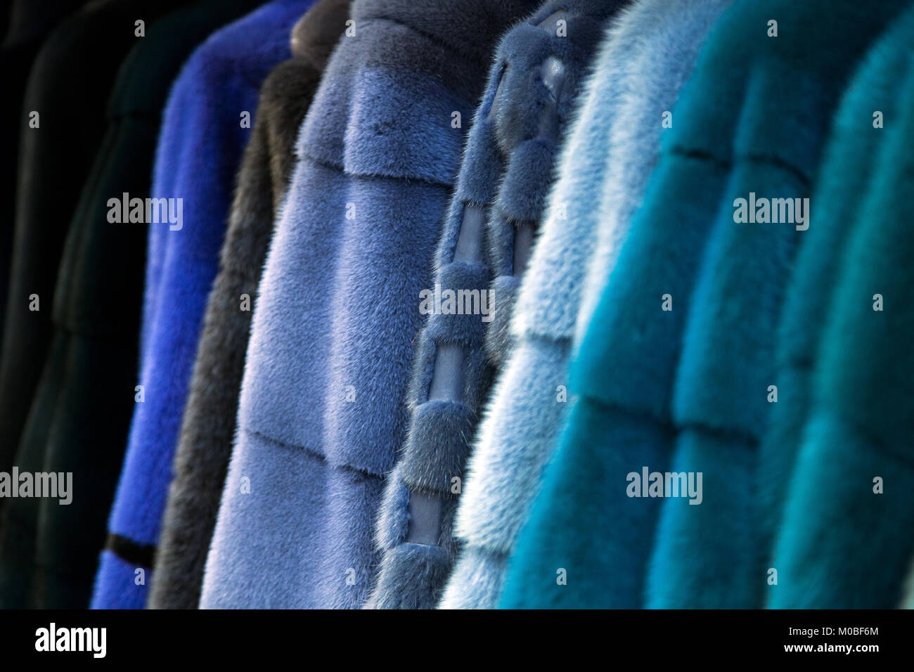 Un close-up di una pelliccia di visone naturale le pellicce di diversi  colori: grigio, blu, verde e nero appeso in una fila nel negozio Foto stock  - Alamy