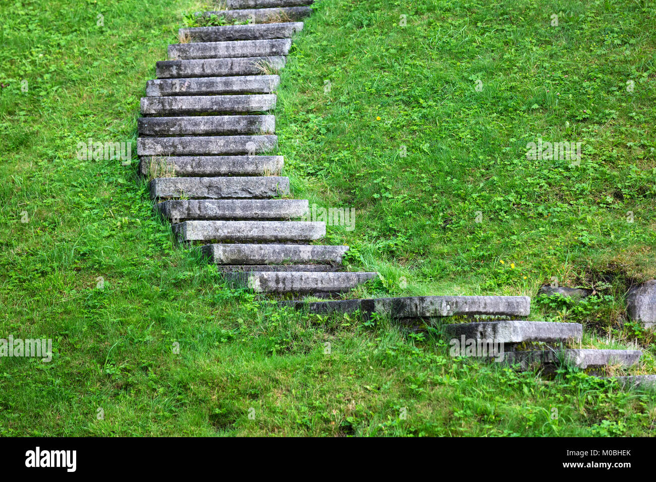 Scale di pietra ricoperto di erba che conduce verso l'alto Foto Stock