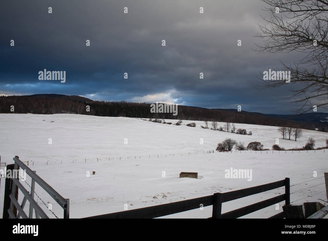 Un inverno nevoso giorno nel Berkshire Hills del Massachusetts. Foto Stock