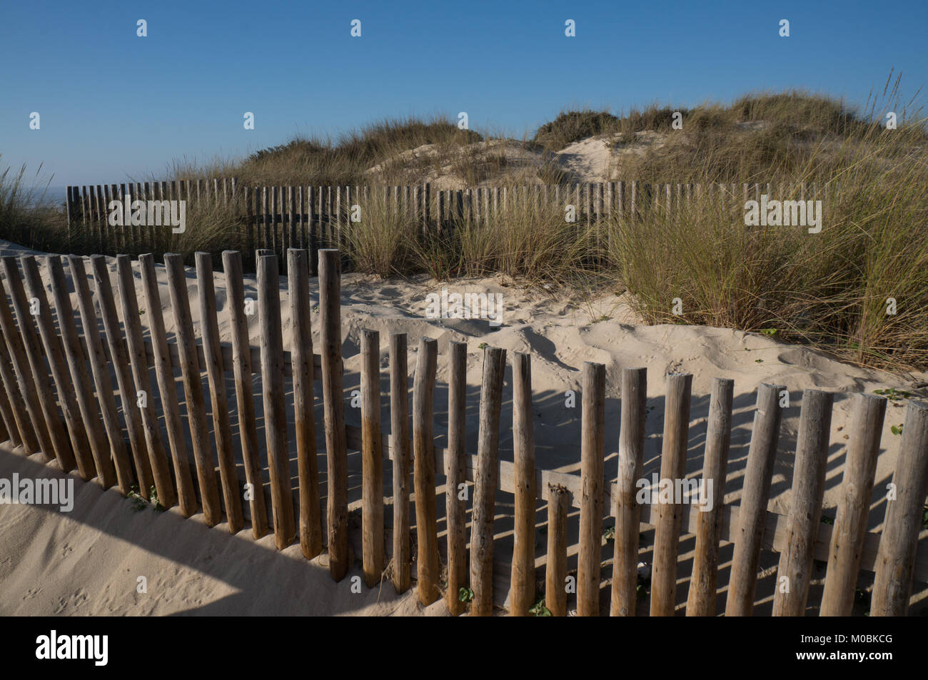 Un recinto piccolo segna una area protetta di dune costiere in Tocha, Portogallo. Foto Stock
