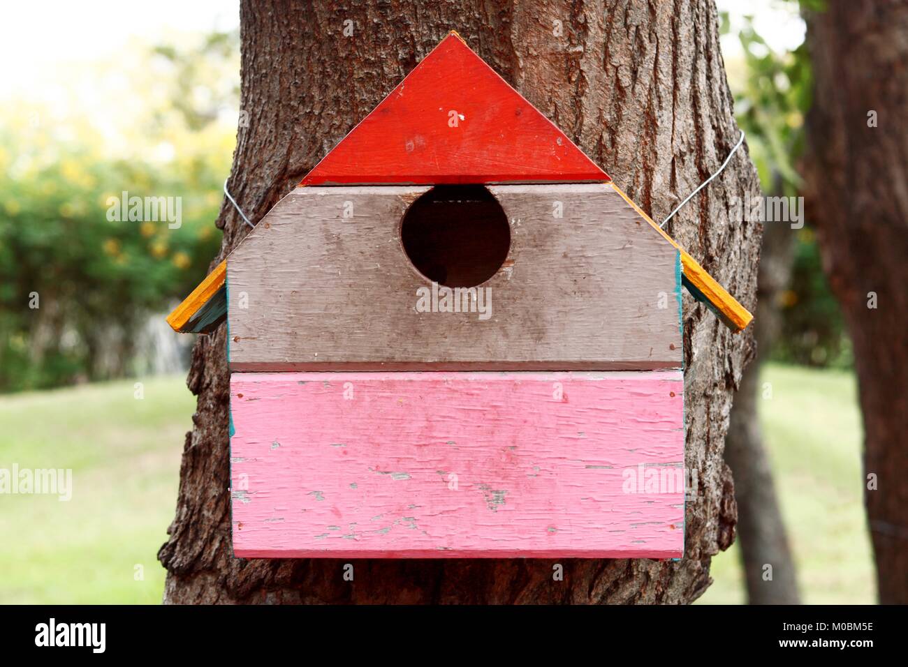 Coloratissima casa di uccelli sulla struttura ad albero Foto Stock