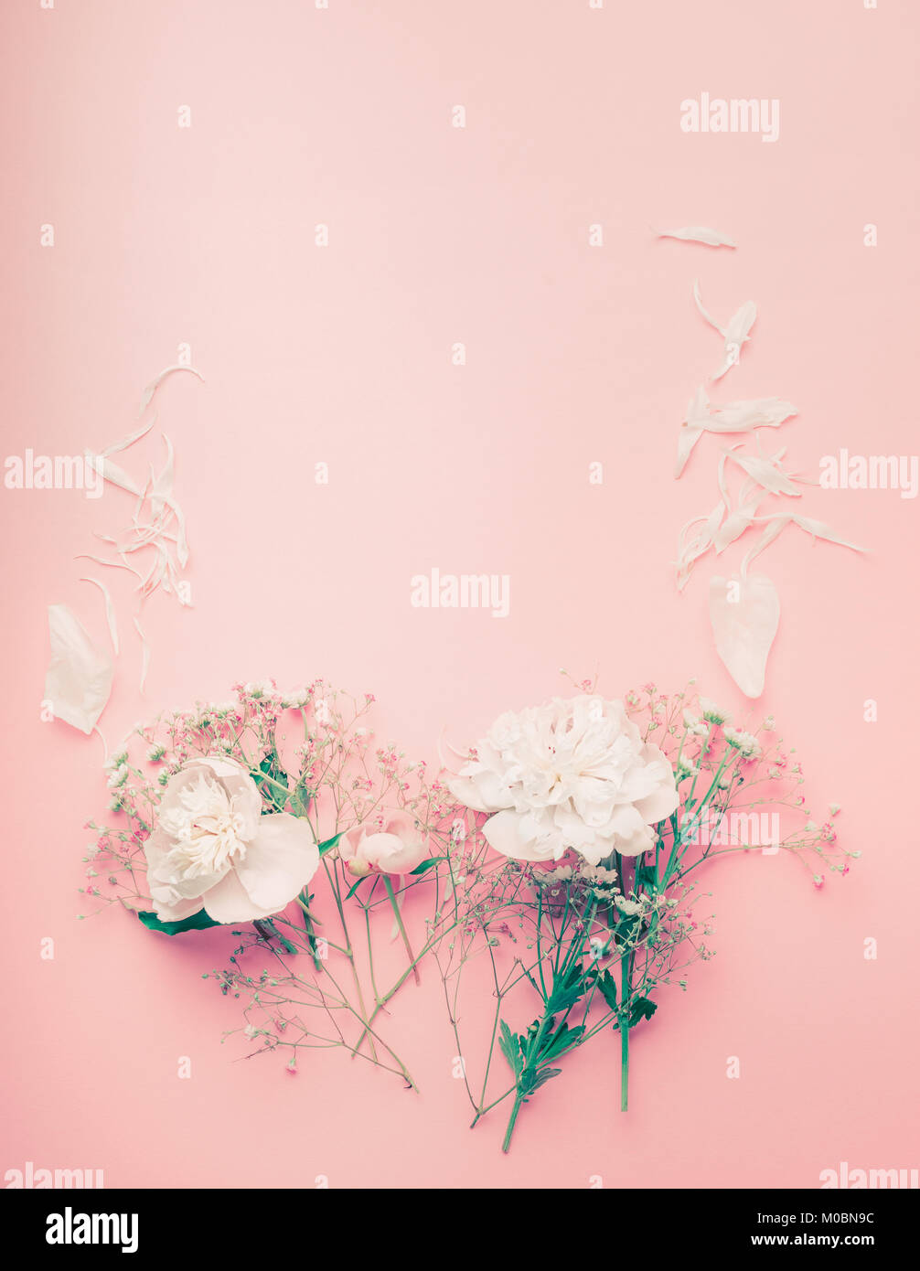 Fiori di colore pastello con telaio peonia e petali su sfondo rosa, vista dall'alto Foto Stock