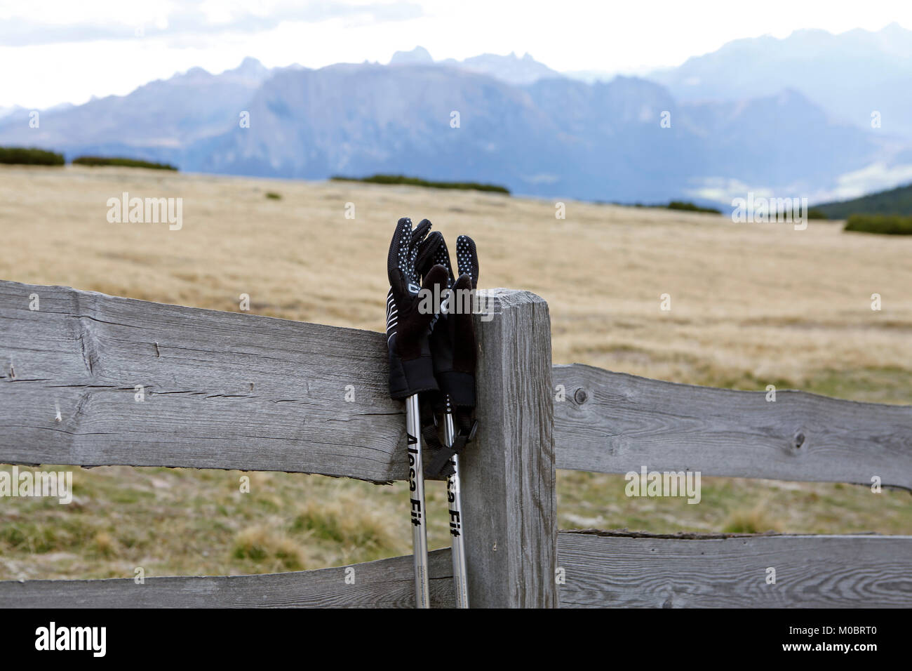 Bastoncini Da Passeggio Antichi Vittoriani In Legno Manico Testa