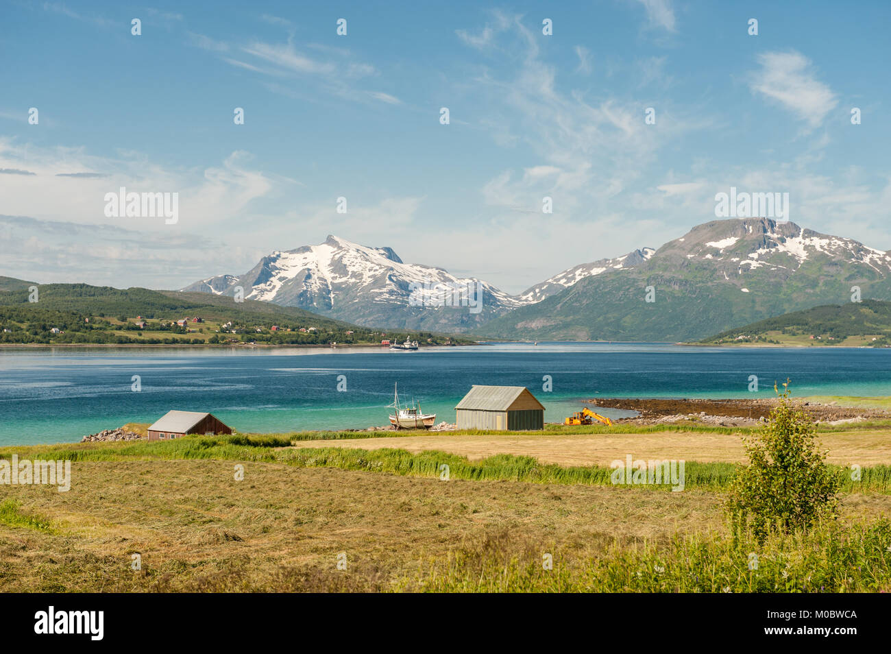 La pesca e l'agricoltura a isole Lofoten durante l'estate nel nord della Norvegia Foto Stock