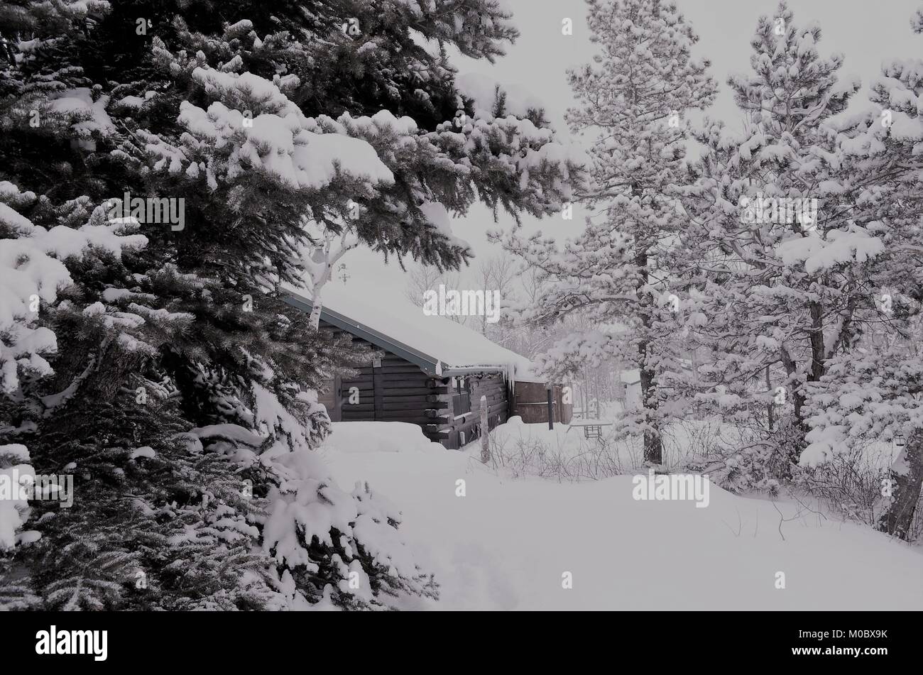 Una baita in montagna in tempo di Natale, dopo un pesante la caduta di neve si è verificato, coprendo con una spessa coltre di neve. Foto Stock