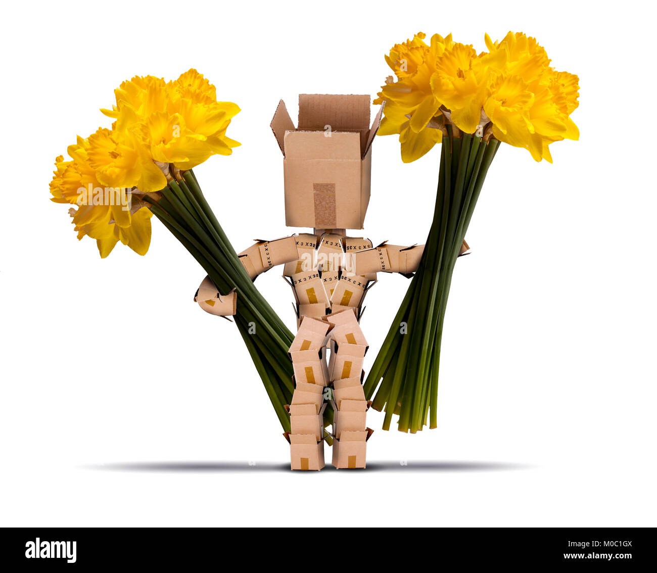 Carattere cassa tenere grandi mazzi di narcisi. Tagliare i fiori gialli ed un simpatico personaggio reso dal box su sfondo bianco Foto Stock