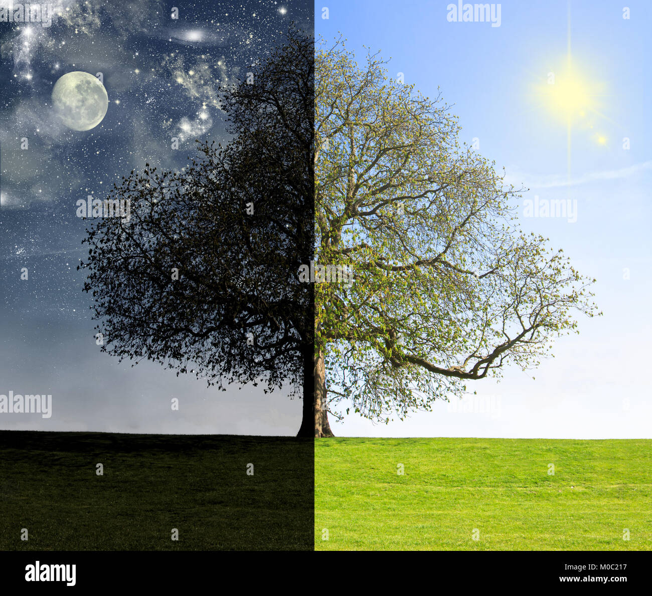 Concetto di collage della concorrenza tra il giorno e la notte Foto Stock