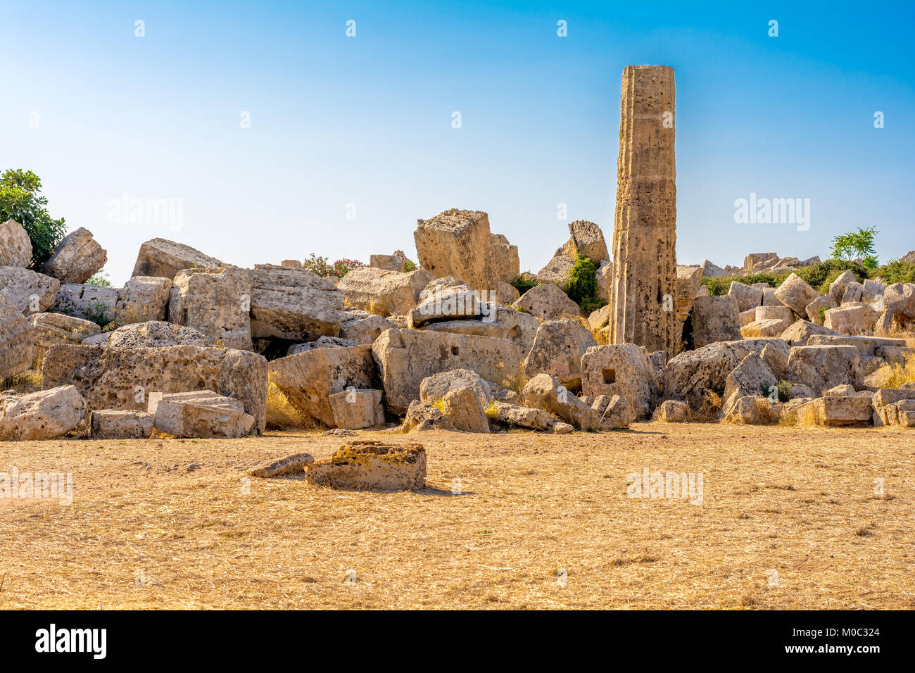 Templi di Selinunte Foto Stock