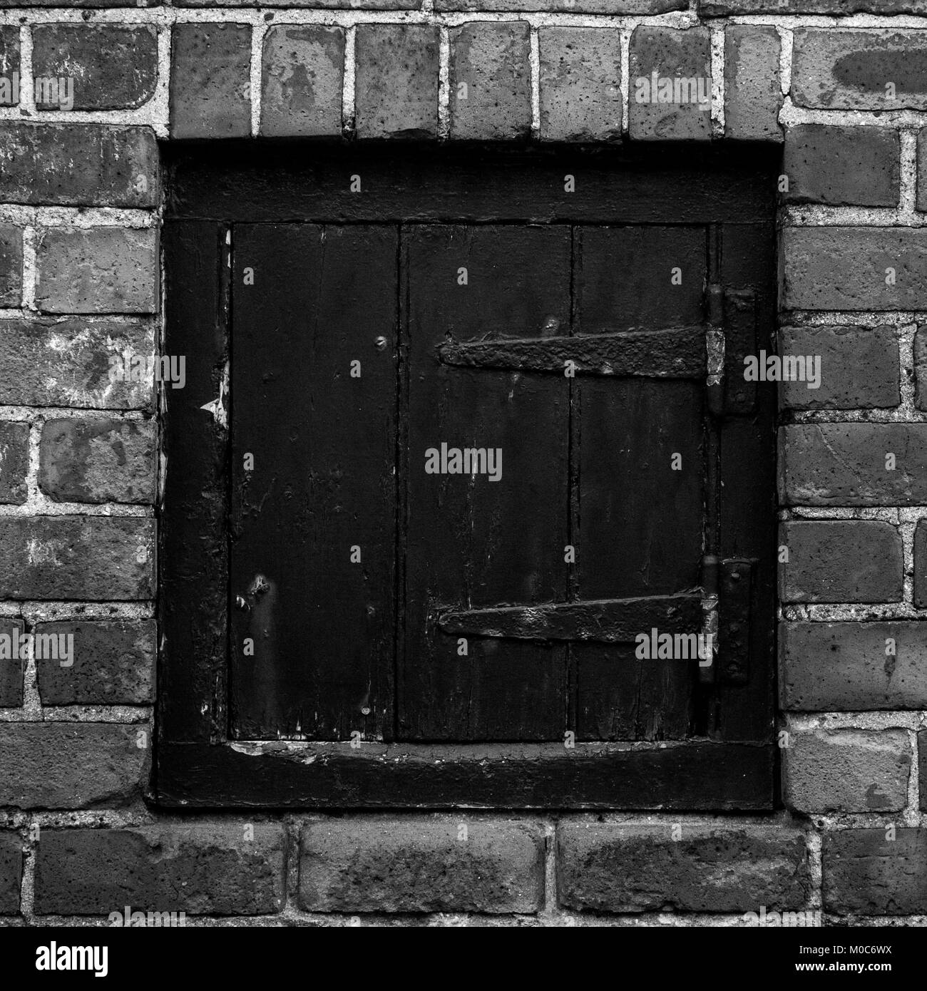 Carbone portelli shed, back-door e cadute di cenere scomparsa della storia sociale del British back lane. Foto Stock