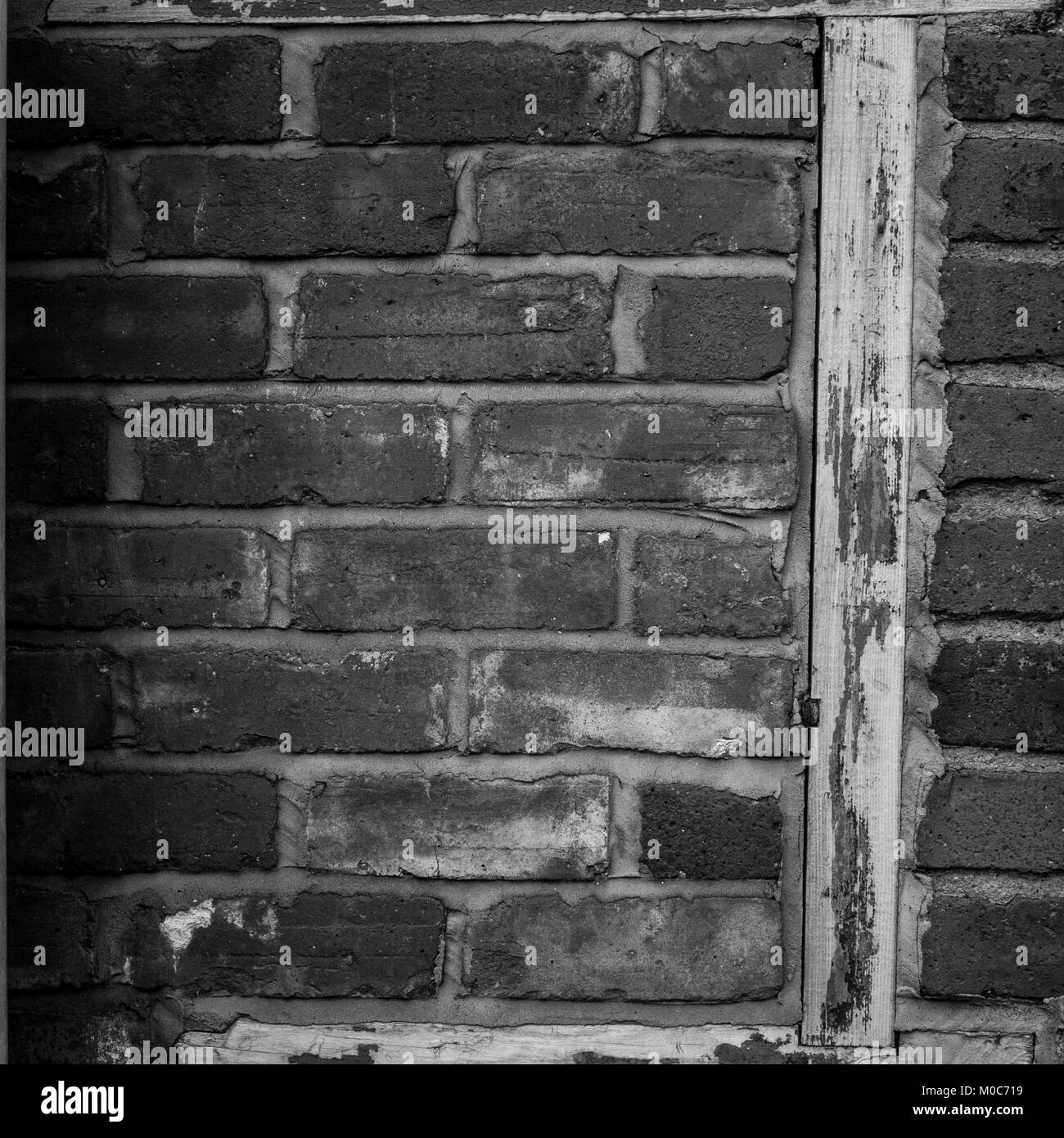Carbone portelli shed, back-door e cadute di cenere scomparsa della storia sociale del British back lane. Foto Stock Carbone portelli shed, back-door e cadute di cenere scomparsa della storia sociale del British back lane. Foto Stock