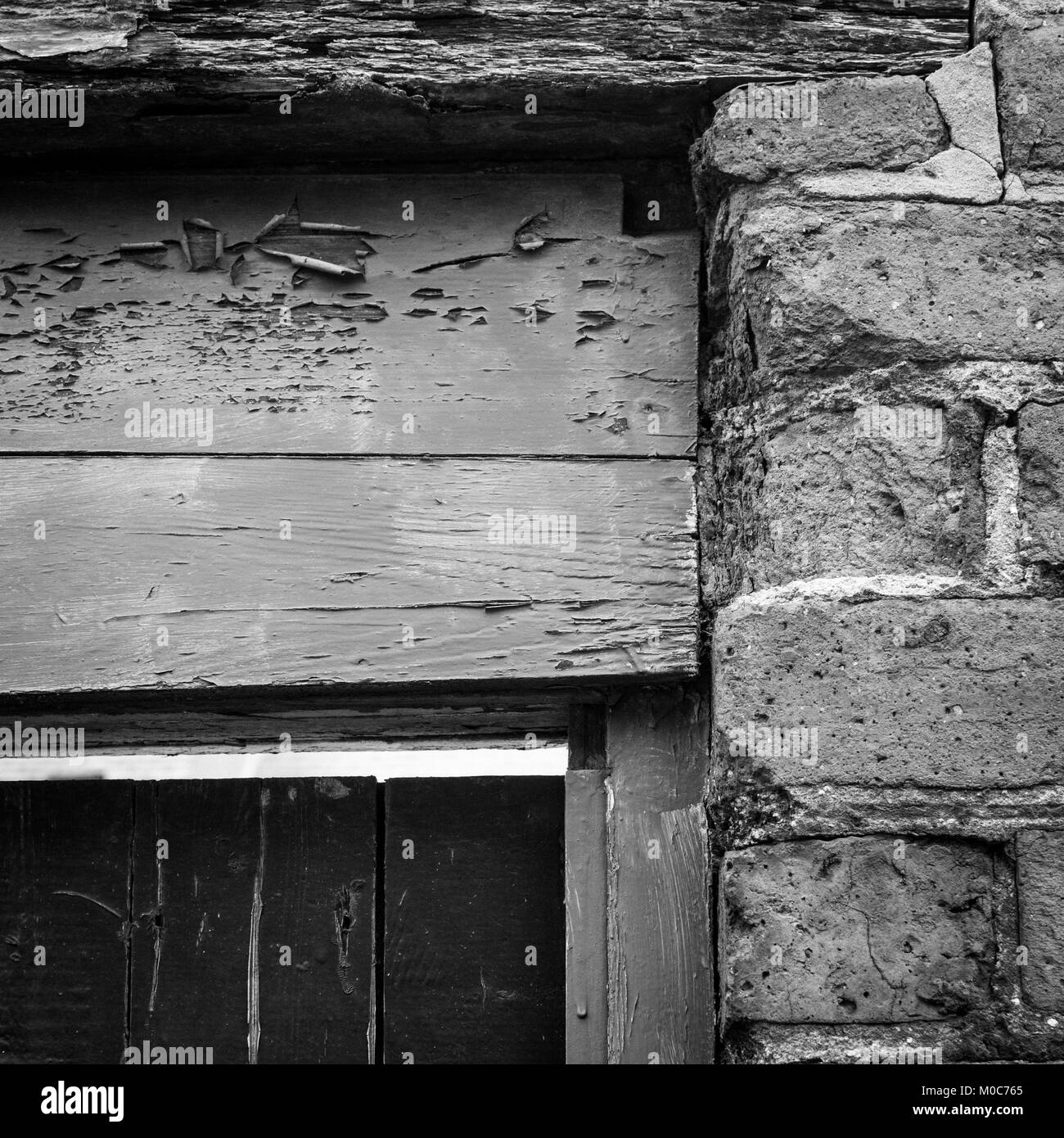 Carbone portelli shed, back-door e cadute di cenere scomparsa della storia sociale del British back lane. Foto Stock