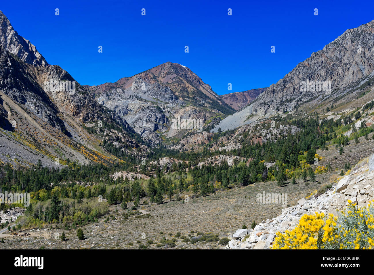 Tioga Pass nel Parco Nazionale di Yosemite in California Foto Stock