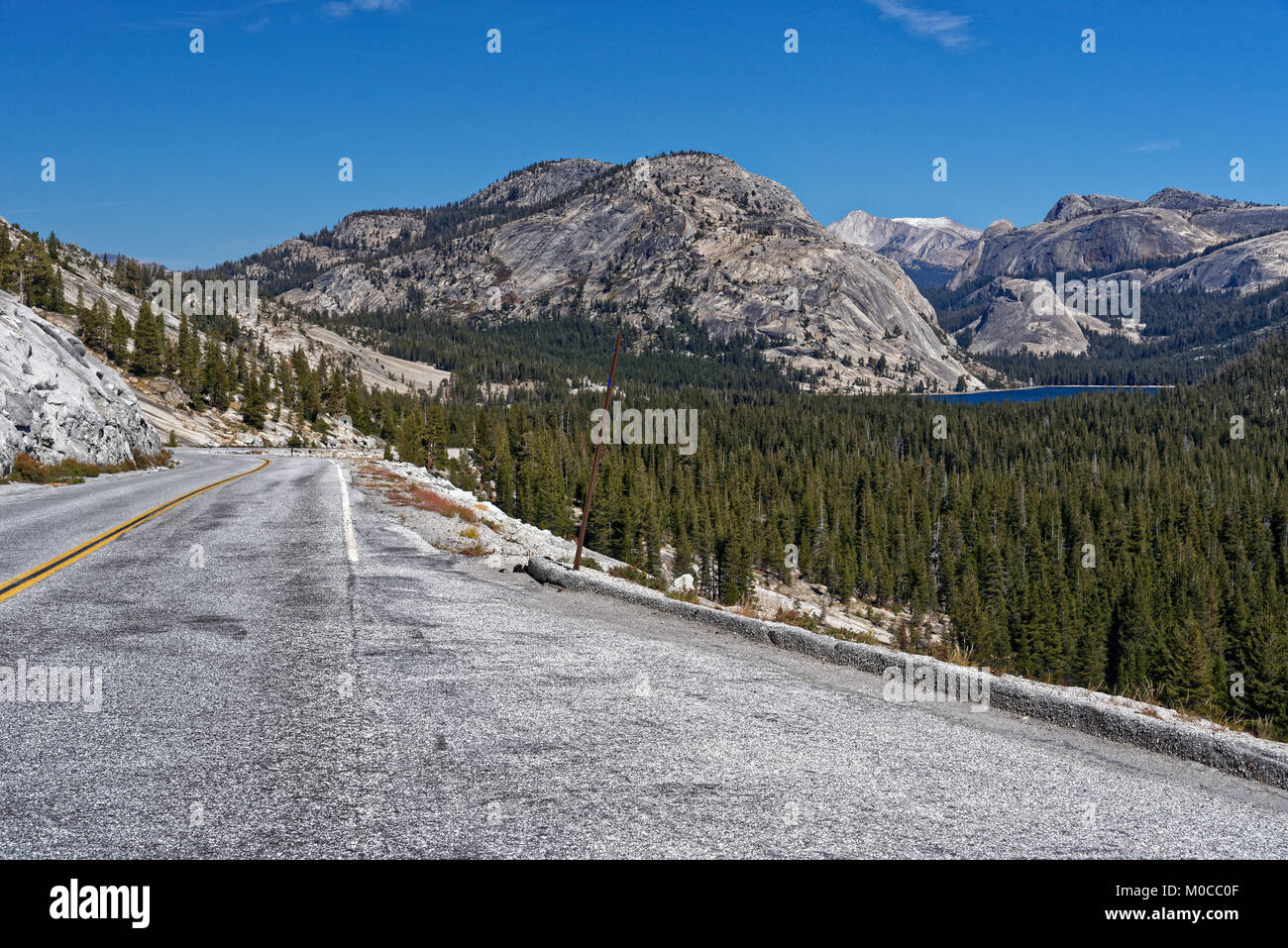 Tioga Road vicino al Lago Tenaya nel Parco Nazionale di Yosemite Foto Stock