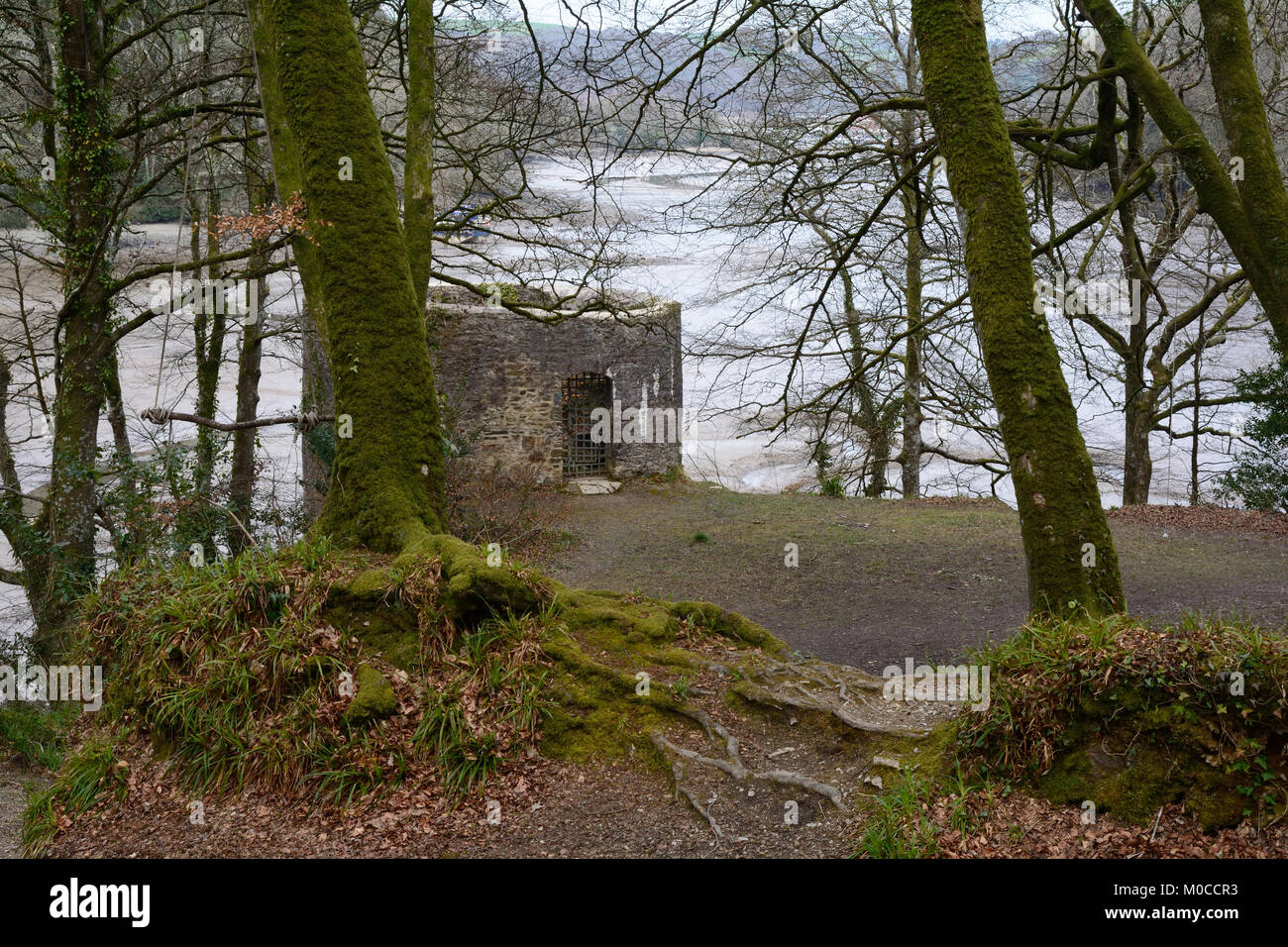 Una follia architettonica a Sandquay boschi, Old Mill, Dartmouth Devon. Foto Stock