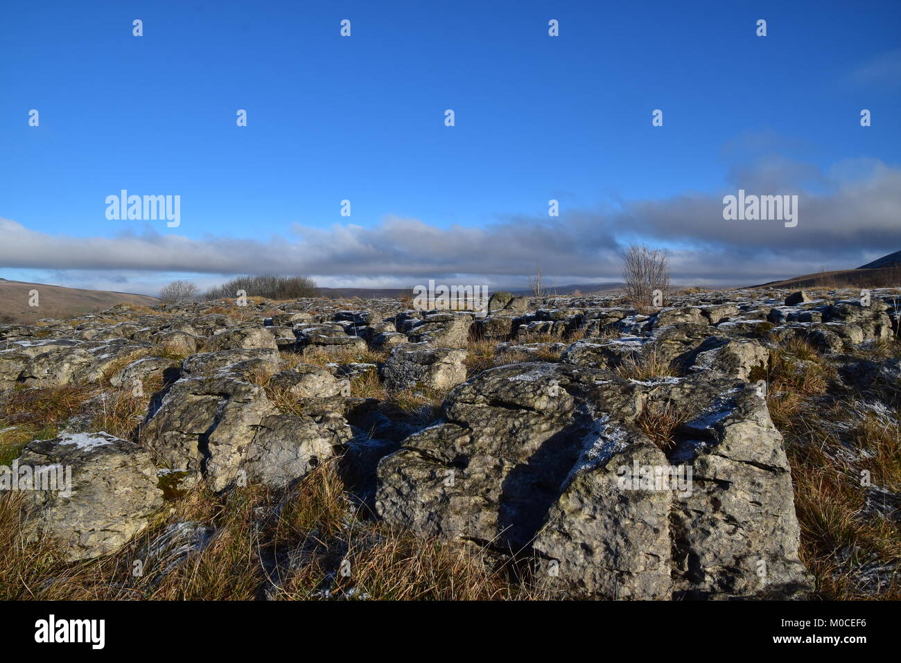 E Clints Grykes in una pavimentazione di pietra calcarea. Foto Stock