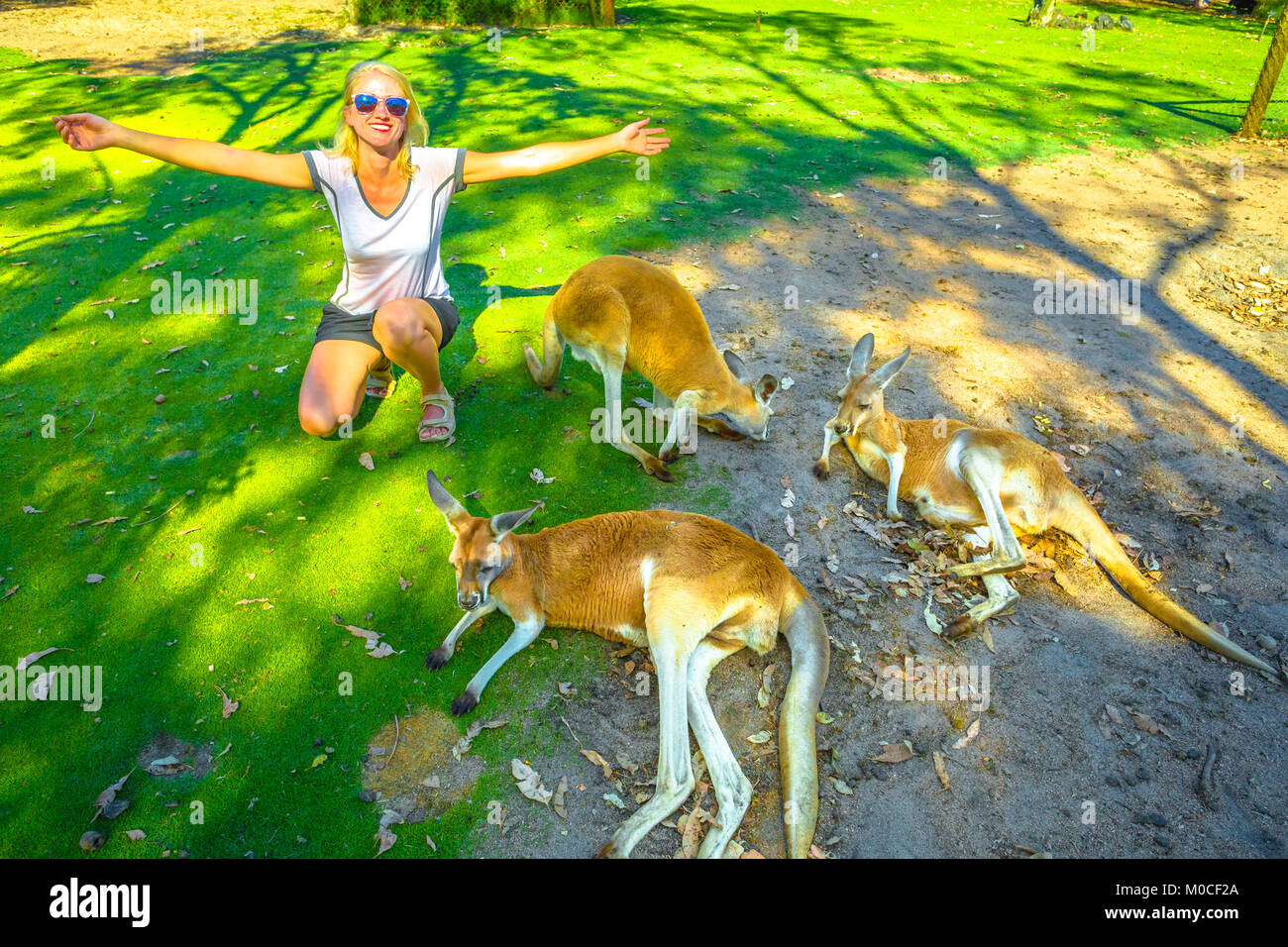 Donna con i canguri Foto Stock