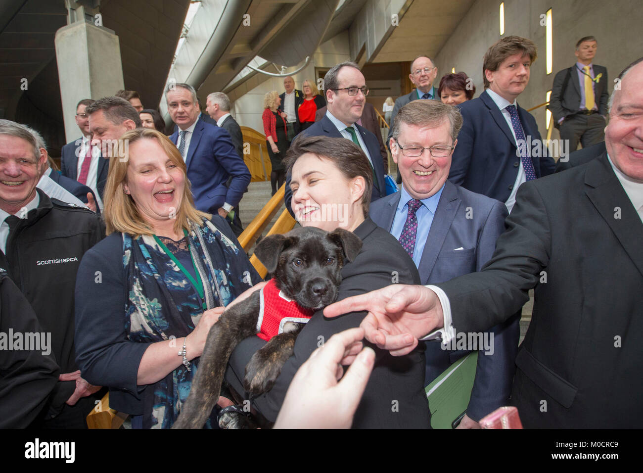 Ruth Davidson MSP con cucciolo in parlamento scozzese Pic Pietro Devlin Foto Stock