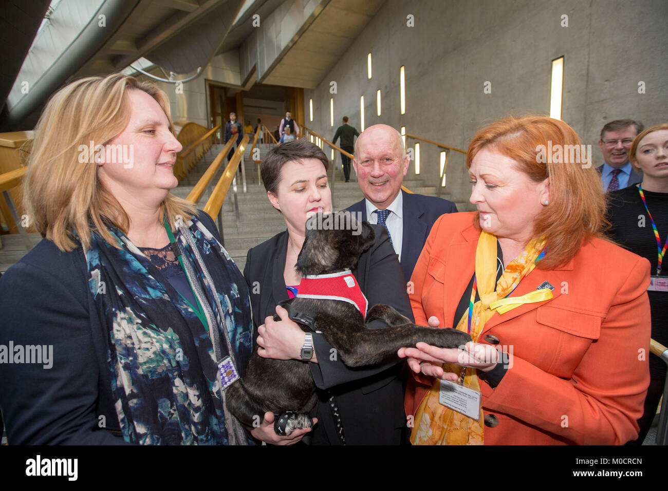 Ruth Davidson MSP con cucciolo in parlamento scozzese Pic Pietro Devlin Foto Stock