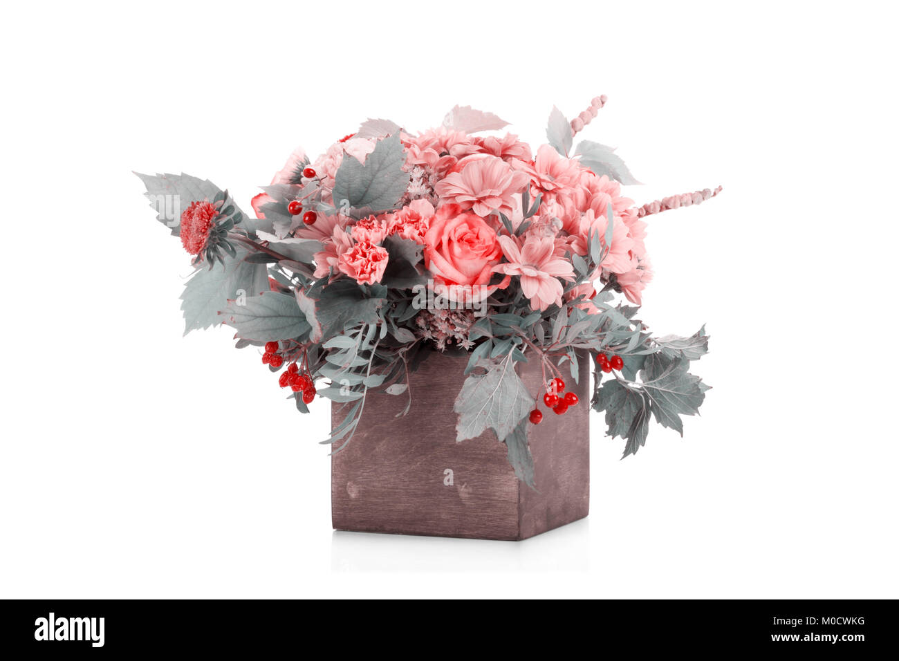 Autunno bouquet di fiori con bacche e Apple in una scatola di legno isolato su bianco Foto Stock