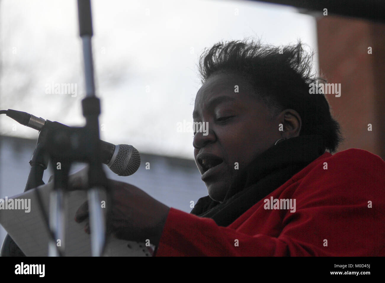 Massachusetts, STATI UNITI D'AMERICA. Xx gen, 2018. Città Greenfield Consiglio Vice Presidente Penny Ricketts parla a seconda annuale di contea di Franklin donna Rally, Greenfield, Massachusetts, STATI UNITI D'AMERICA. Il 20 gennaio, 2018 Credit: Susan Pease/Alamy Live News Foto Stock