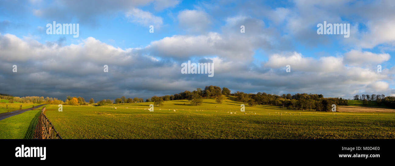 La collina di Gerusalemme, vicino a Sherborne nel Dorset. Presi nel tardo pomeriggio come la luce era illuminando la valle in Blackmore Vale Credito: David Hansford Fotografia/Alamy Live News Foto Stock