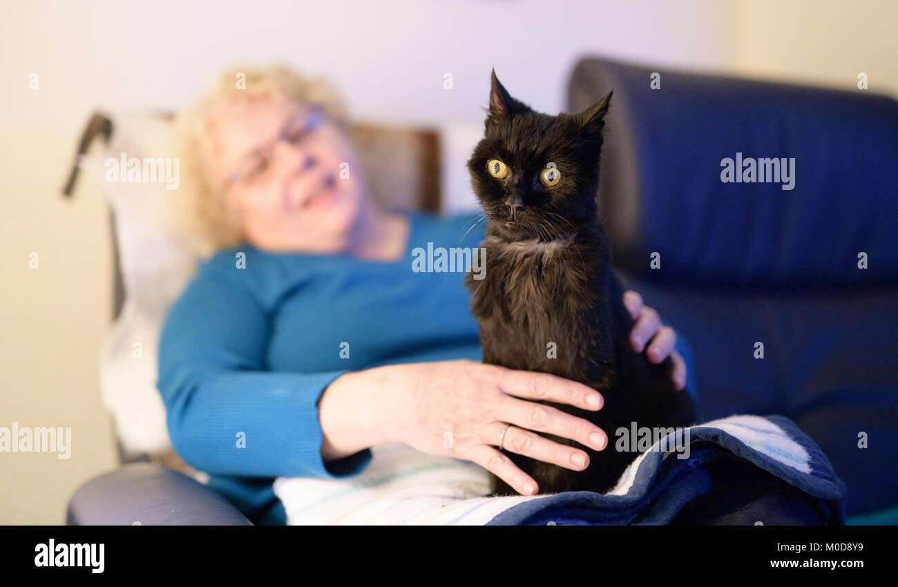 Amburgo, Germania. 18 gennaio, 2018. 21-anno-vecchio gatto "usi" si siede sul grembo del suo proprietario cristiana Albrecht ad Amburgo, Germania, 18 gennaio 2018. Come gli esseri umani, gli animali domestici sono sempre più colpiti dalla demenza e altre patologie legate all'età come la medicina moderna li aiuta a vivere più a lungo. Credito: Daniel Reinhardt/dpa/Alamy Live News Foto Stock