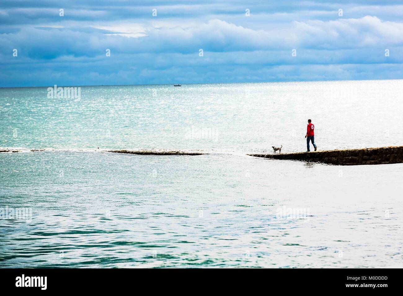 Esercizio di uomo a piedi un cane lungo un molo di cemento in mare. Foto Stock