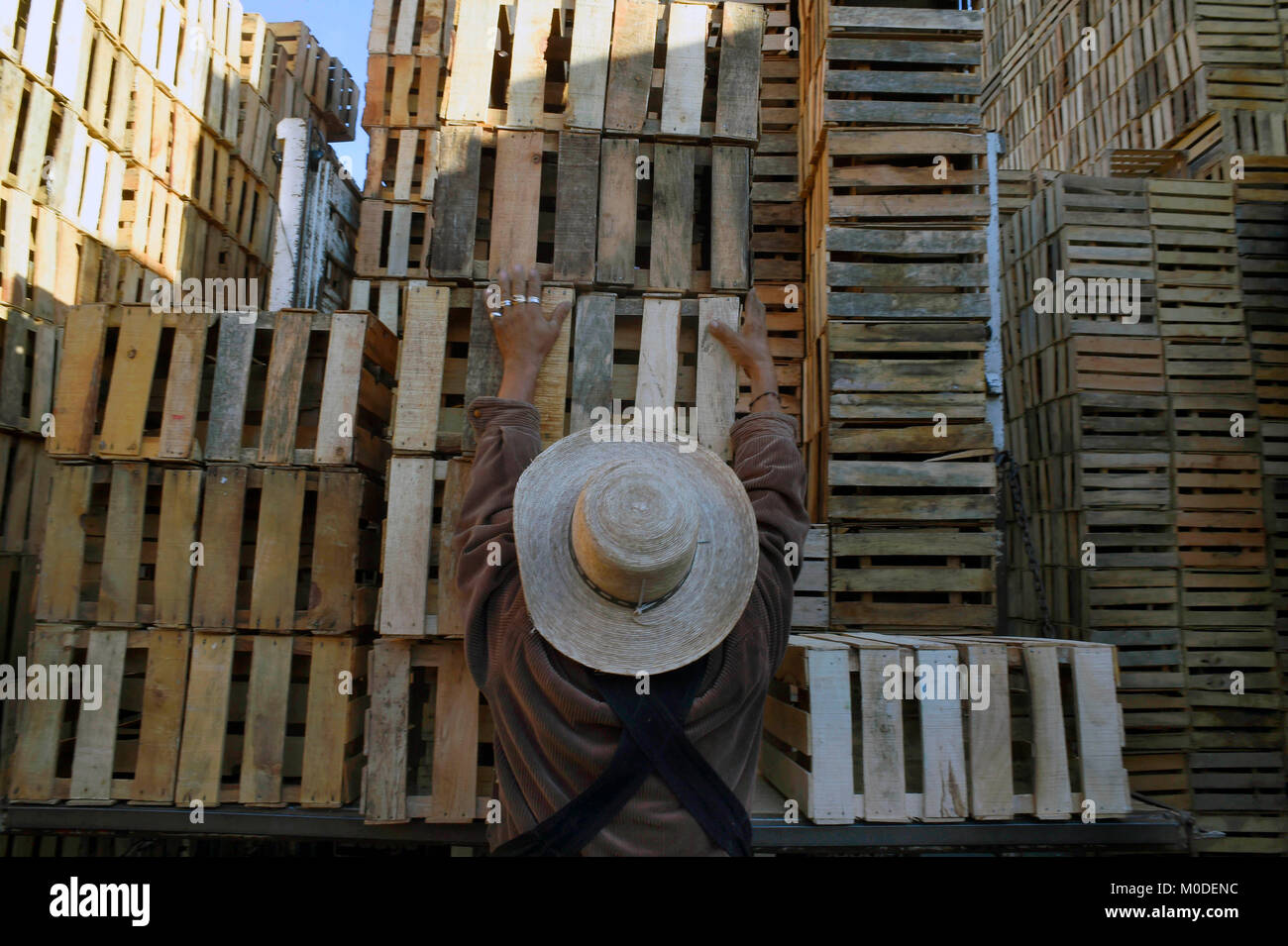 20/gennaio/2018 Vista delle scatole di legno chiamato 'huacales' a 'Central de Abasto' mercato in Messico Cit. Approssimativamente 35 percento di fiori e frutta Foto Stock