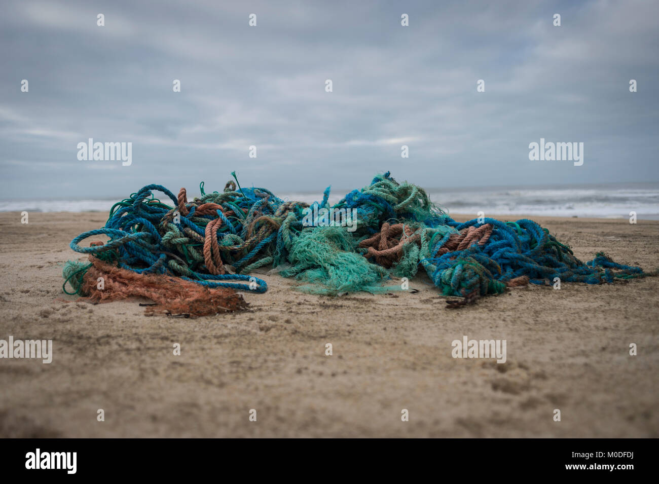 Un groviglio di materiale plastico sintetico le funi di pesca lavato fino sulla spiaggia. Il danno ambientale. Foto Stock