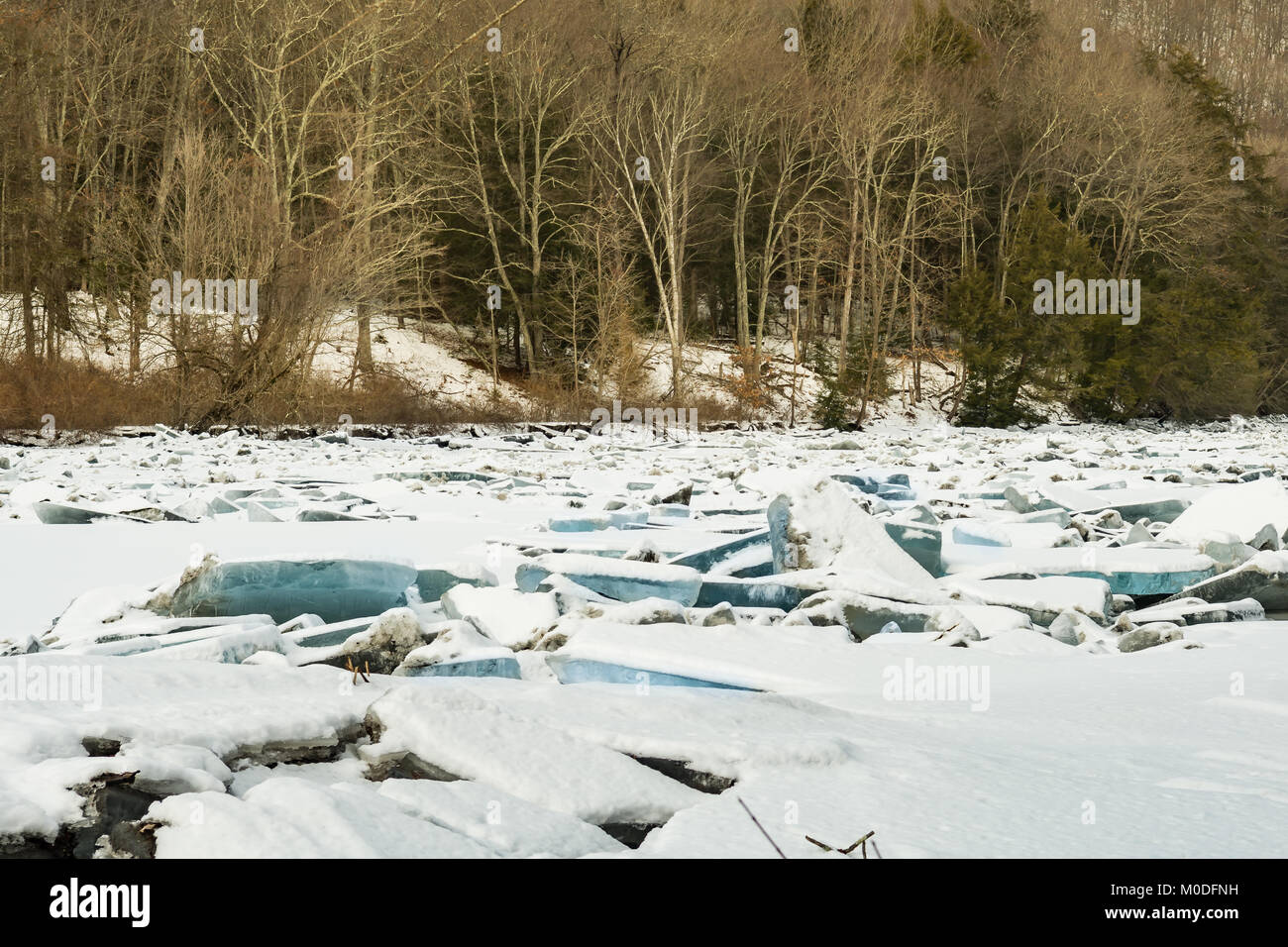 Un massiccio Marmellata di ghiaccio bloccando il fiume Housatonic nel Kent Connecticut Foto Stock