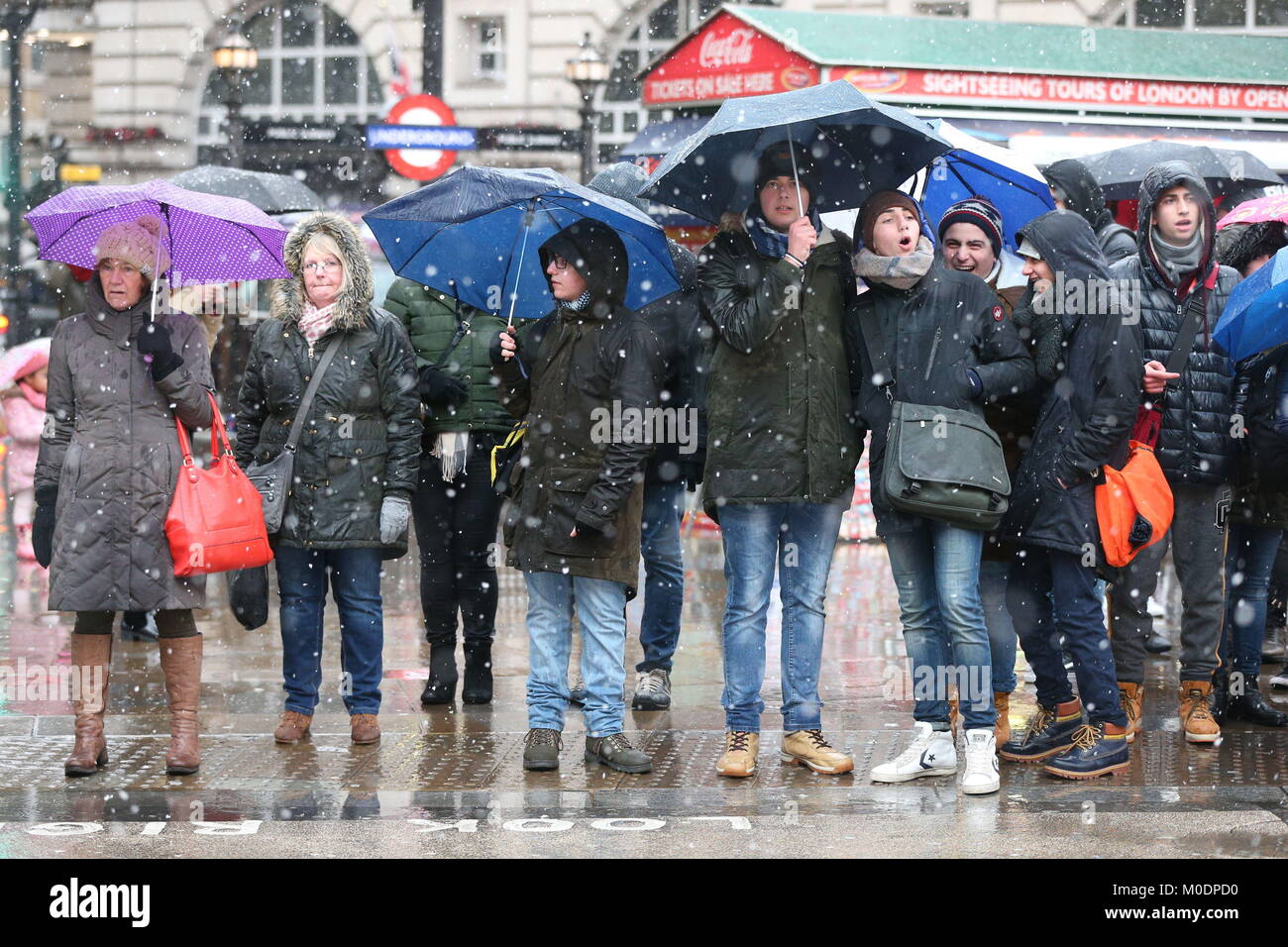 Le persone utilizzano gli ombrelli per mettersi al riparo da una nevicata nel centro di Londra, come persone di tutto il paese sono sostenuti per più di neve dopo il Regno Unito si è bloccato sul più freddo la notte in quasi due anni. Foto Stock