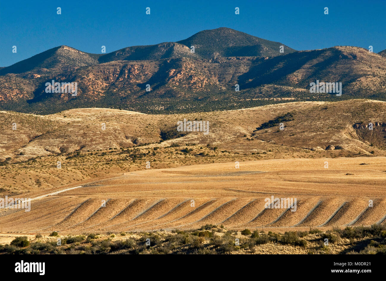 Rigenerate stoccaggi di rifiuti industriali a Freeport-McMoRan Copper & Gold Inc. Tyrone miniera vicino a Silver City, Nuovo Messico, STATI UNITI D'AMERICA Foto Stock