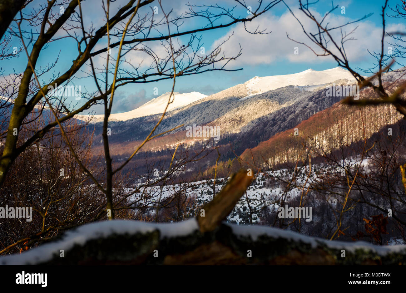 Montagna cresta con alte cime innevate. bellissimo paesaggio dei Carpazi in inverno. vista attraverso i rami di alberi. incantevole natura sfondo Foto Stock